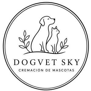 diseño sin título (4)